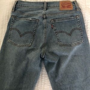 Levi's Blue Spice Wedgie Skinny Jeans